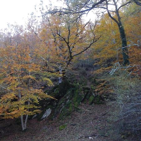 Alojamiento Rural Fuente Del Arca Pradena del Rincon エクステリア 写真